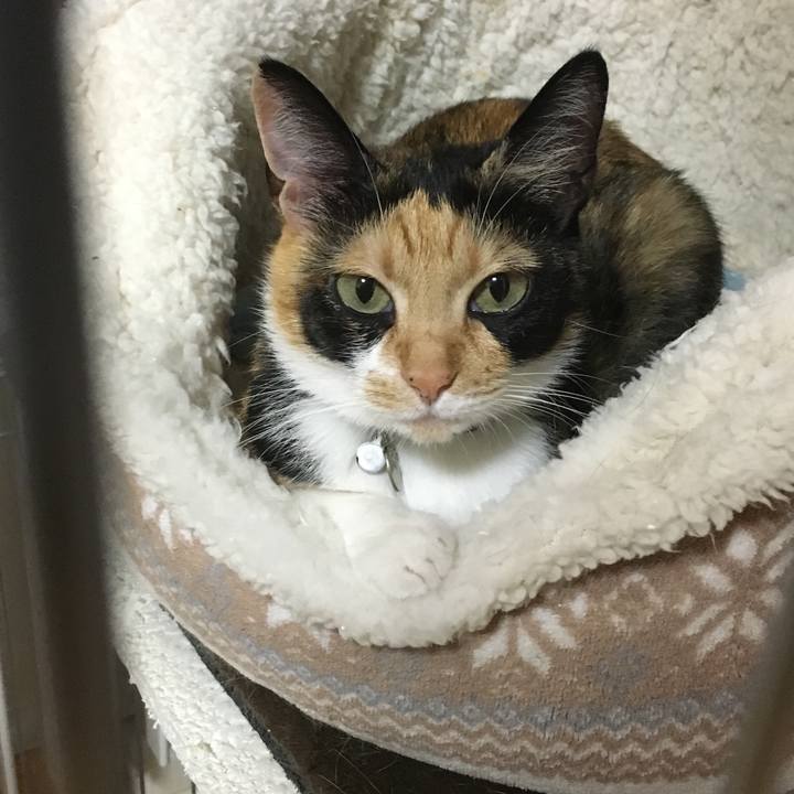 283f2655 d3ba 4362 a67a 15bb5c6d5d87