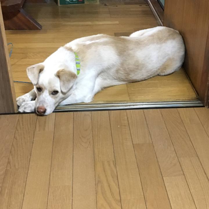 283fae2d 427d 4168 831c 49500fa0424c