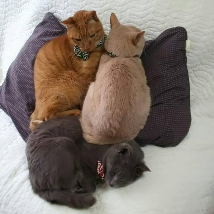 283fb6ca e237 45cc 9c79 fda4286fa610