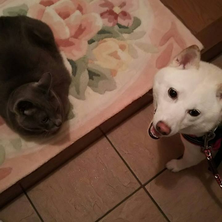 283fb8ee 22d2 4bcb aacc ae725c4e6669