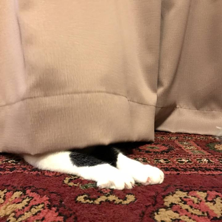 283fc751 8497 4d3e a850 bae8bfef79bd