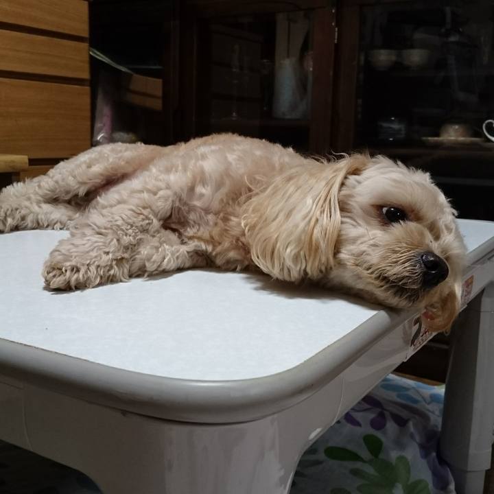 283fe612 31ce 4b9a a9e4 67c8120210de