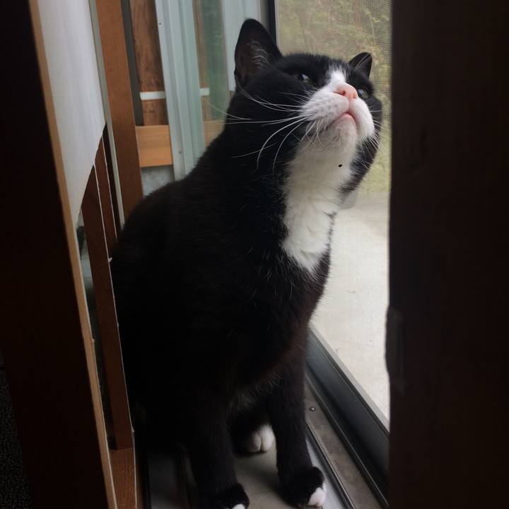 28401218 3a6a 435d b1ea a0a801500b4a