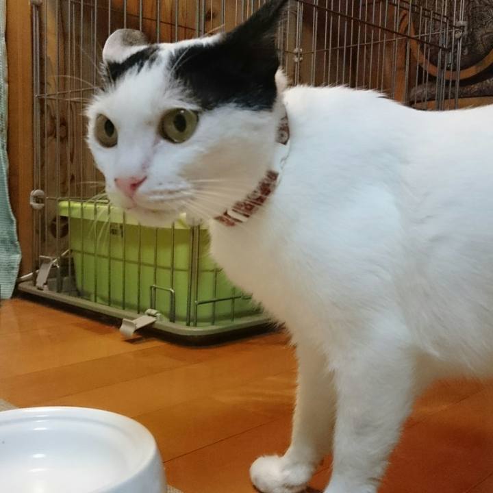 28402ceb 7cf1 4139 a916 7face2bd632d