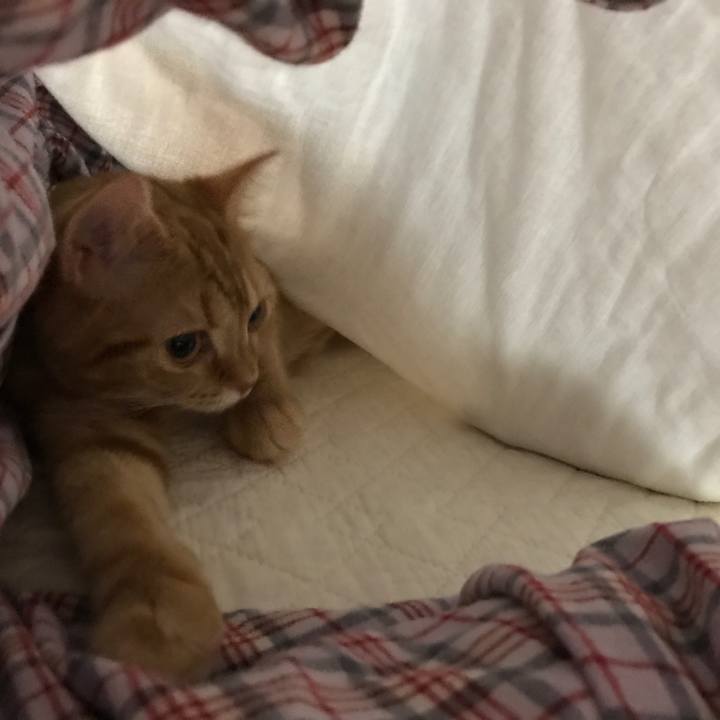 28405396 ea02 4f69 89c9 8678bc0983b6