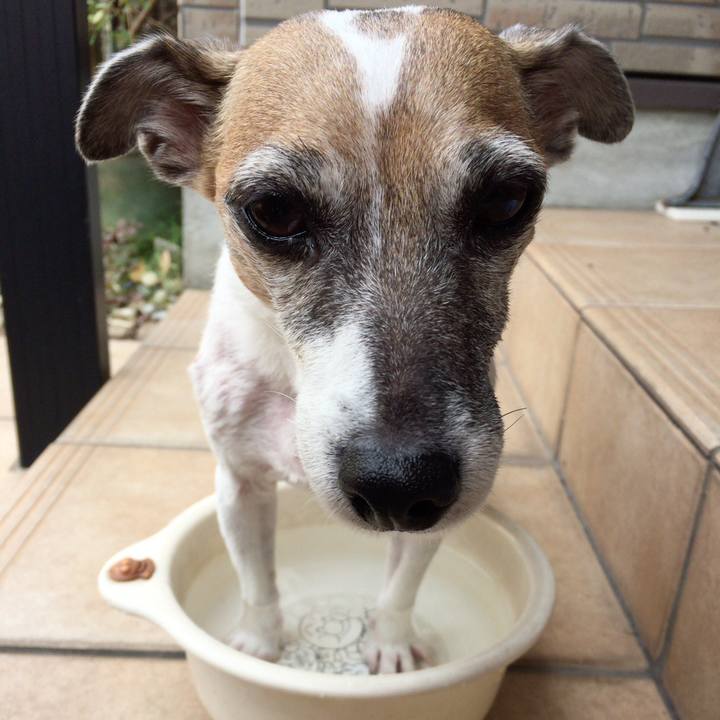 2840e91a 2071 4f4e 90d9 9f27fe167b16