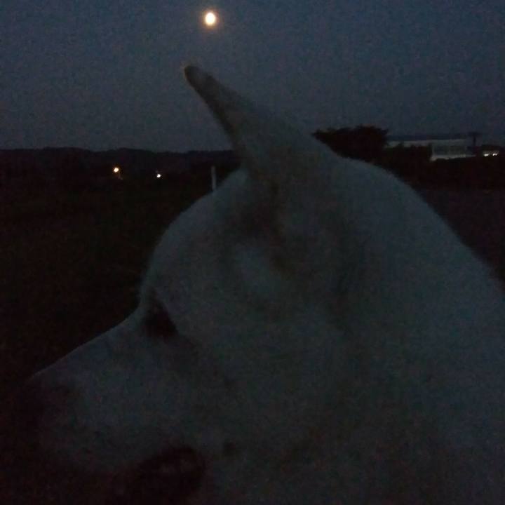 2841b7a7 9a7a 4b88 b0ec c05c9efc6866