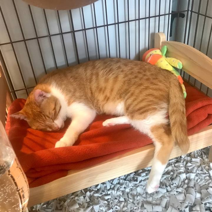 2841e0c2 1290 4830 afdf a788f9fab071