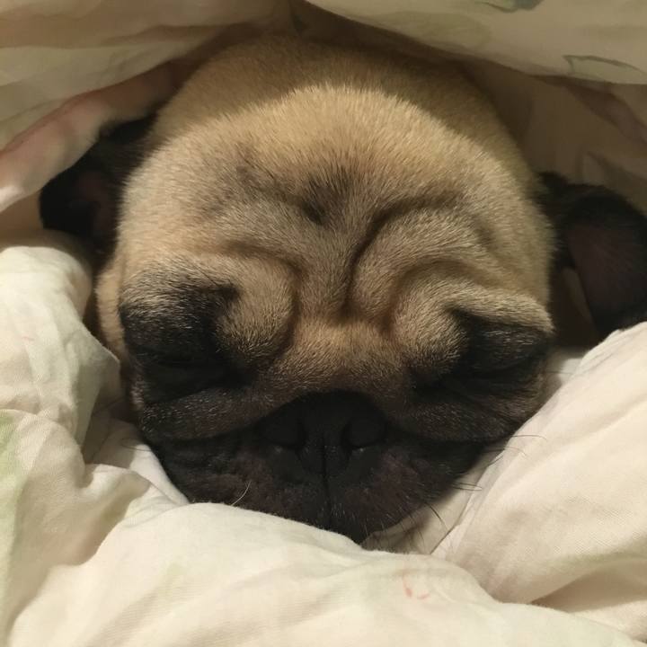 2842453e 70c2 49ae 983d bd2bdeae6392