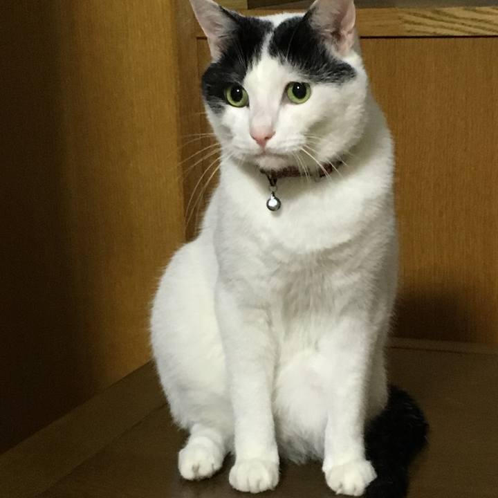 2842cdd1 4a11 45bf 90a2 d7efa33059c4