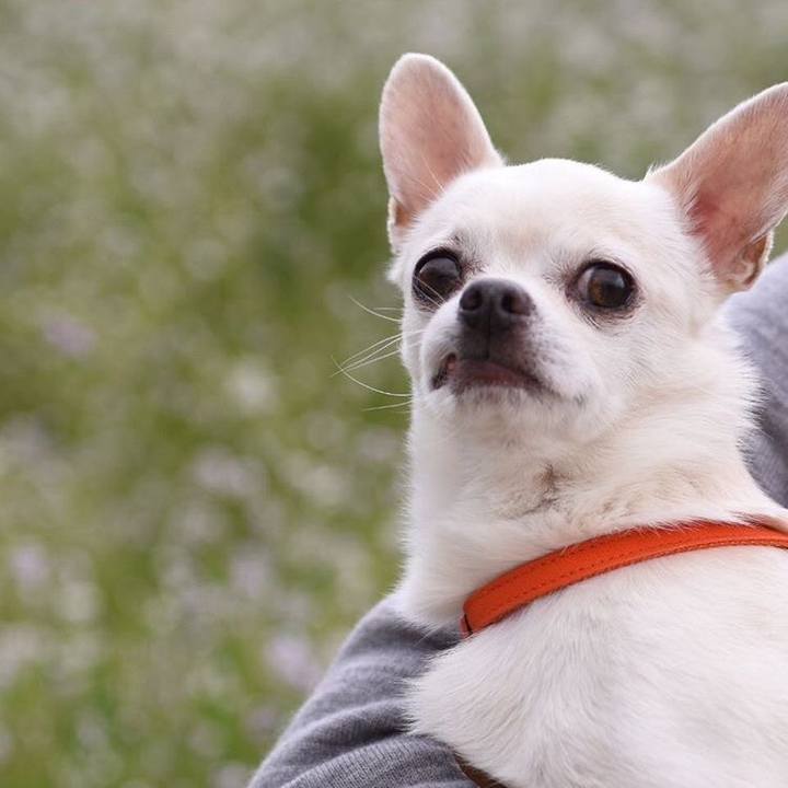 2842da45 59a9 44d9 a7d5 03d0b5b4e834