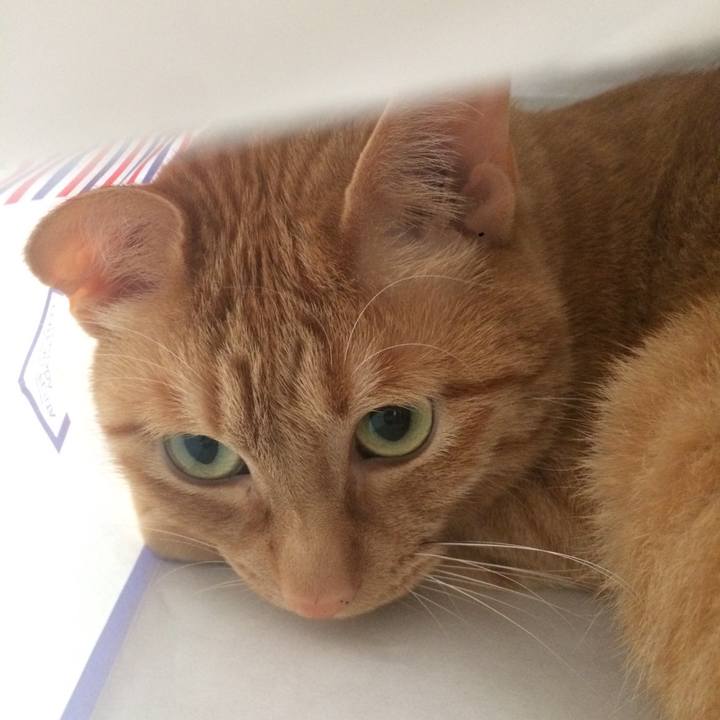 2844cd33 37e5 4748 84d3 72c46fb0840e