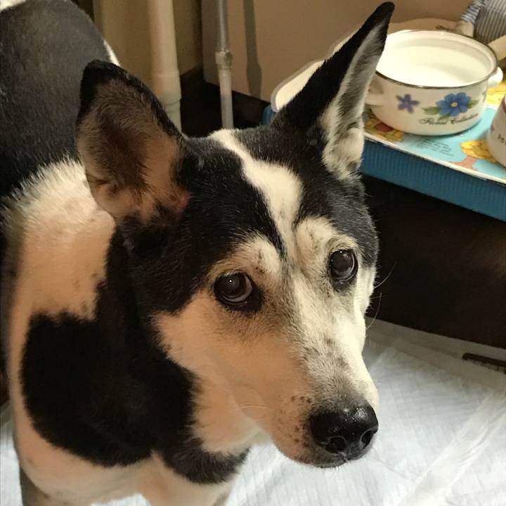 2844d57d 552b 4b27 9712 a43ea5f2b402