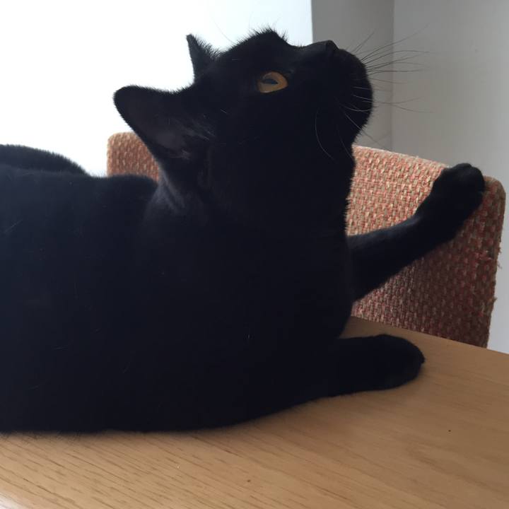 2845197f 5834 4c13 8295 8990af30f321