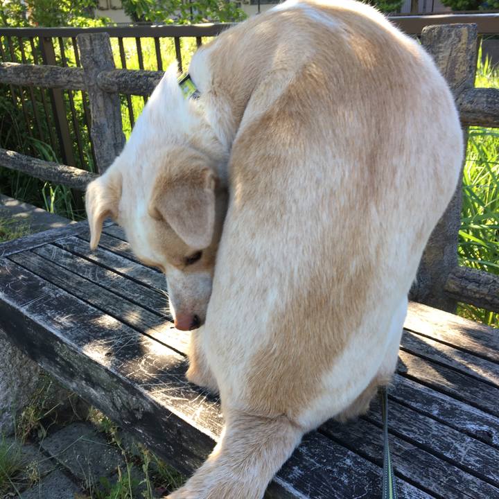 28452e80 1945 4d50 8655 2e0522c95dd3