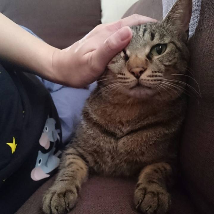 2845f826 383a 461b b107 0337def3f567