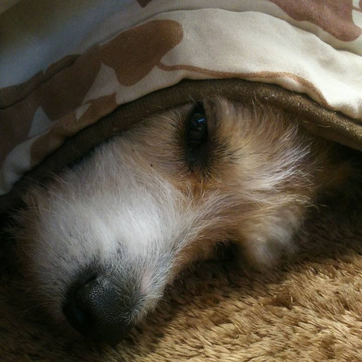 28472c88 17da 4a3d a436 77d333c8de7a