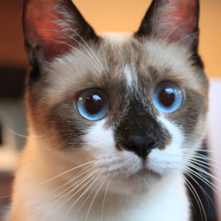 2847e86d 91ac 421f aea5 65abc75cb716