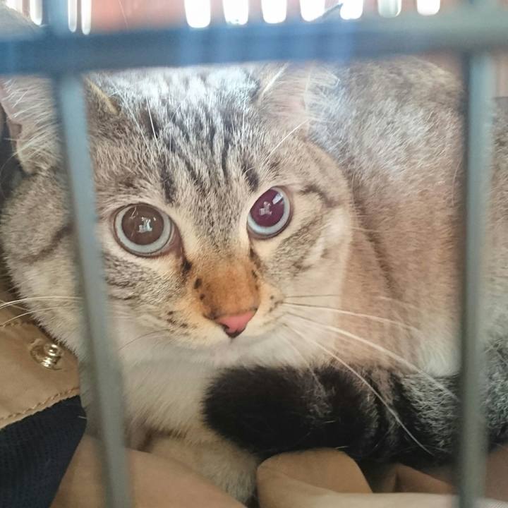 28491857 e0b9 4ddc a786 8b270bcbbe32