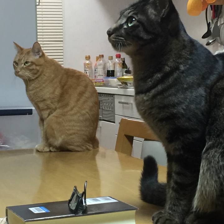 2849ed43 96a7 4da7 9663 cc342416bf83