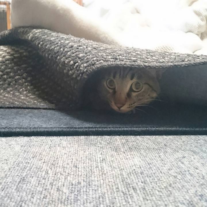 284ac242 8f8f 45d4 976a f031614095b4