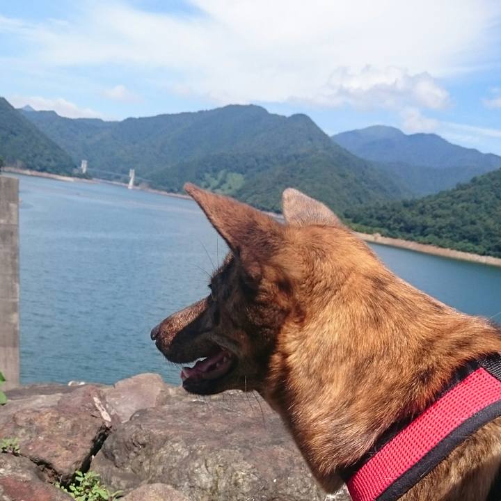 284b2d95 da7a 4b65 b3d1 94acf82d2d0d