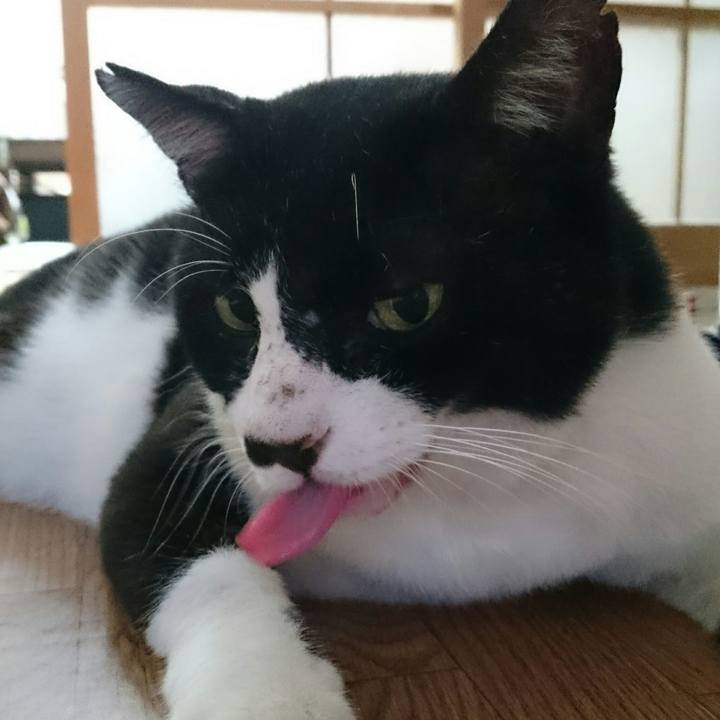 284b5cac 62b4 4496 b83b 7d0243255cf2