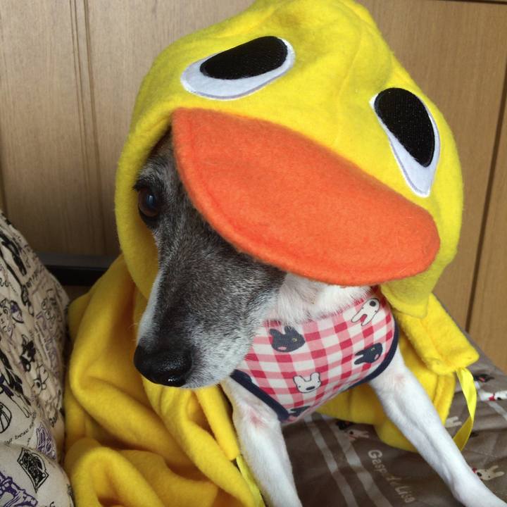 284ba00f a050 402c a895 dbfcefce233e