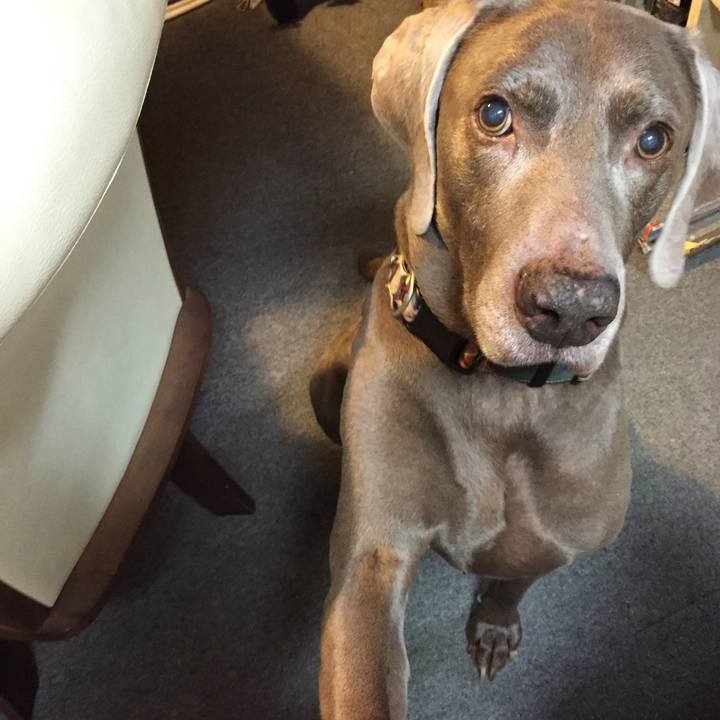 284c489d 29ab 4042 871a d5a9454db1fe