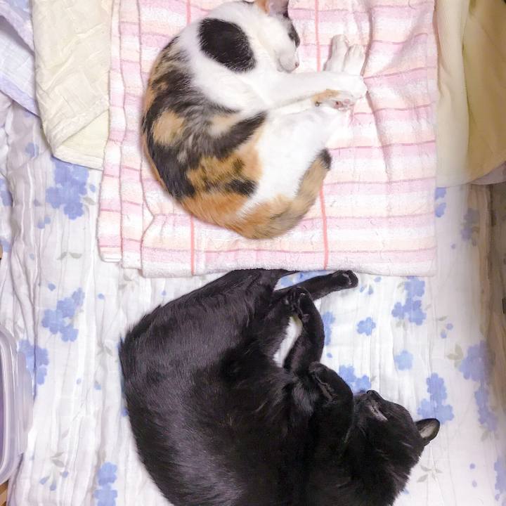 284cc869 cb19 4e1f 9428 7c2e3df6bacb