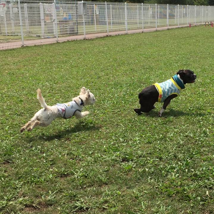 284d2567 d6f2 430e 92d8 4fcefb24275f