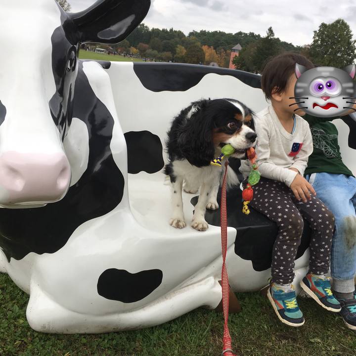 28501272 136d 469b 9cf1 0fc3bf84f466