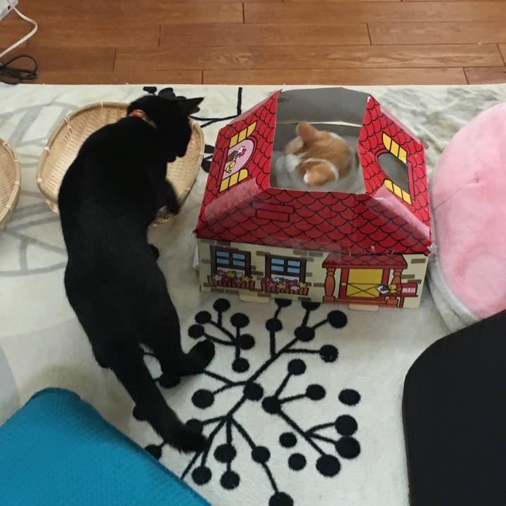 2851243e ded6 4f1b 83a7 e4b232c45641