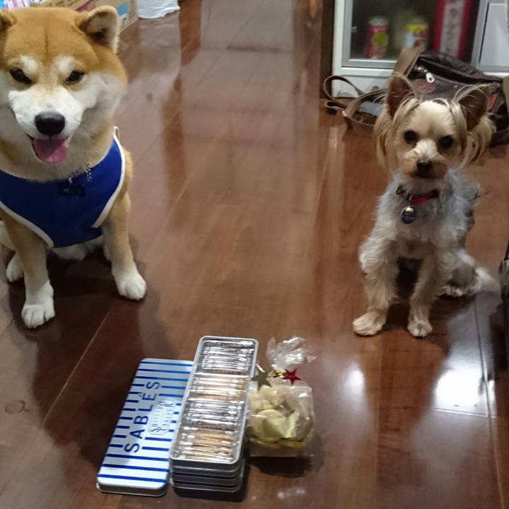 285137e9 3d67 40f4 b3a7 34b2dd9789b7