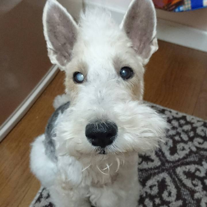 28514381 11c9 4c94 998f 347de2bba3ce