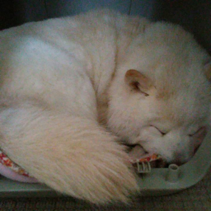 285193a4 1a05 4dda 9c28 aa83400fd4d1