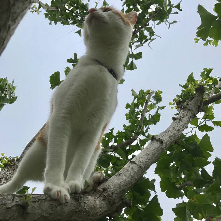 2851957a f2fa 4c4f ac76 e7a0ca935fdf