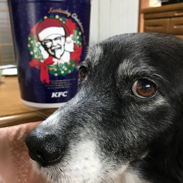 2851f04b 402e 4871 95f8 da9bf5b5d592