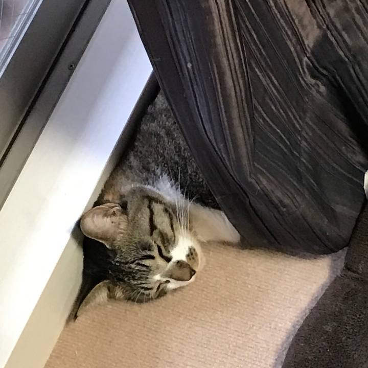 285375e1 f829 4ed1 8bfe 517b5720099d