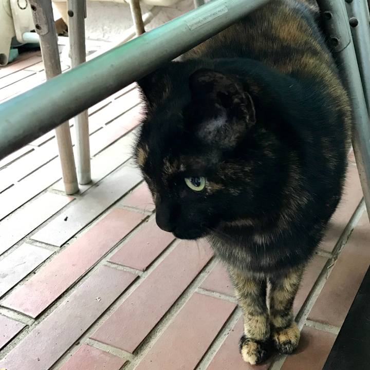 28538df2 43f0 4dfa a3d1 0e046ecec317