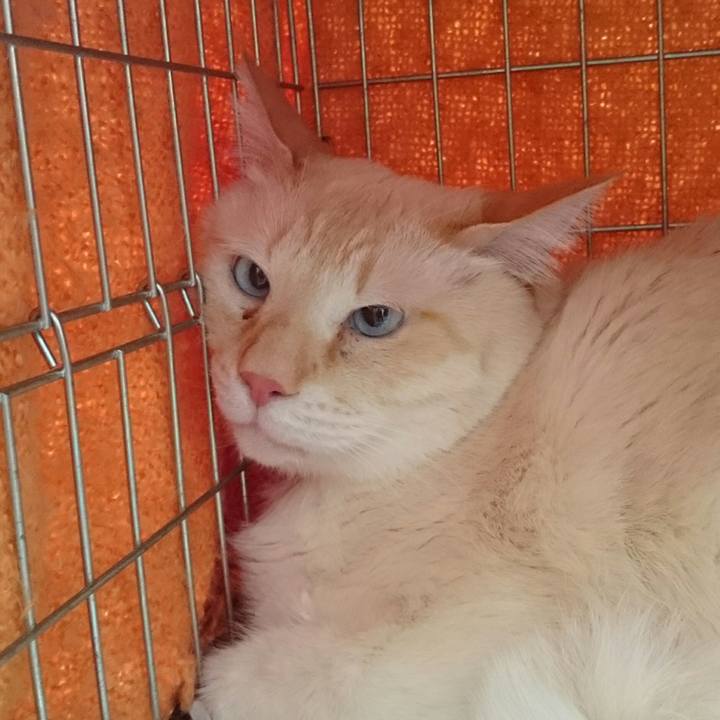 28557e74 295f 4745 ae41 950e47426408