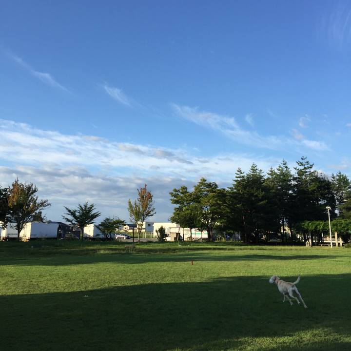 28558384 b9d1 46ed a89f 026dd08186c6