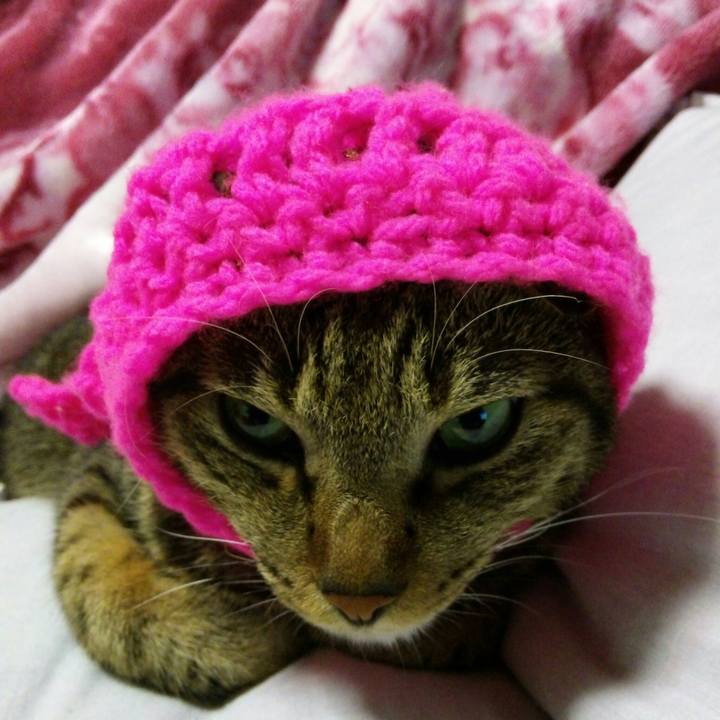 28560bf7 b9c0 4cf7 a057 a2e9929d88fc