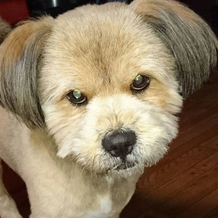 28563f9e 7716 4287 97a4 49ce1664f1fd