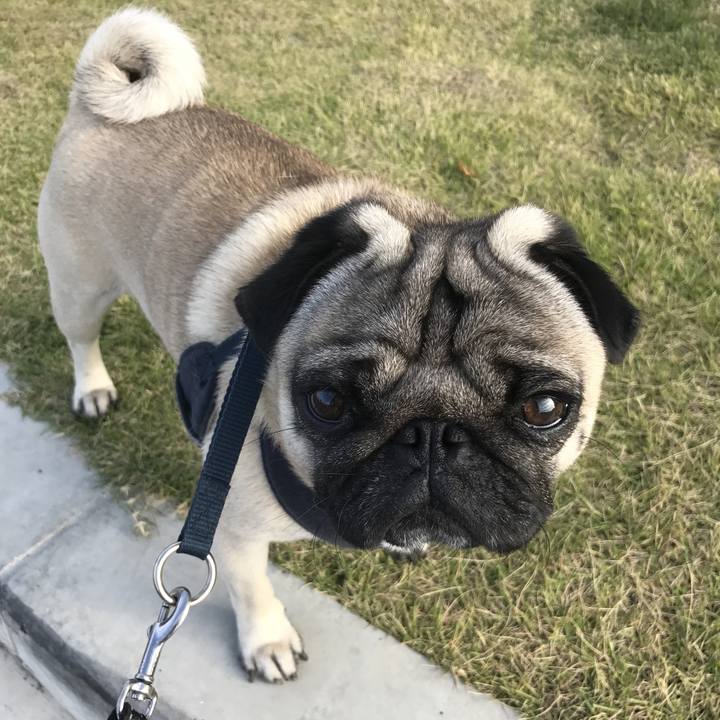 2856cbe4 ec6f 4ce2 bdd9 ff1a8f411523