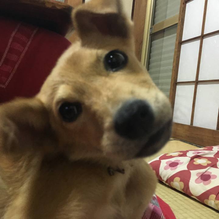 2856d719 9d1e 4d9a 909e 210fafb50aa0