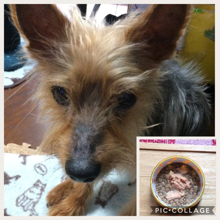 2856fc96 eee7 4b43 9529 e2e22c8b7547