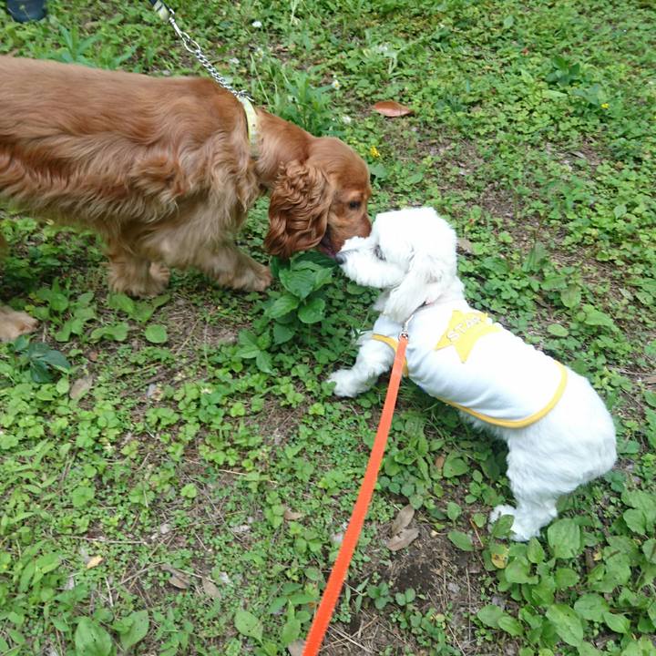 28570746 6974 40e0 8a73 beaaac16469b