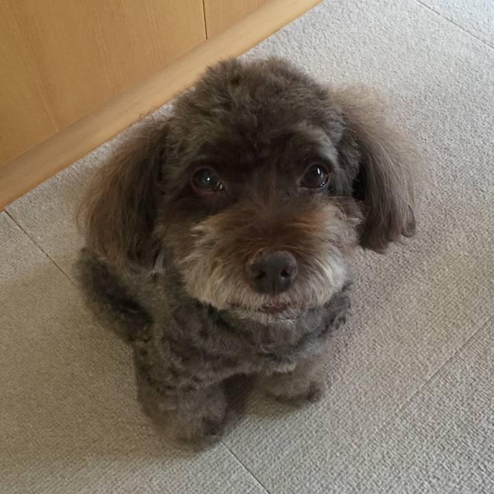 28572750 f054 41bc af2c 38850b221a2b