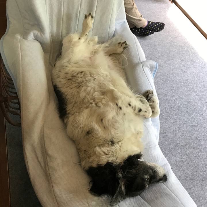 2857377f 7fa1 42a8 be9b 7396bfd3b021